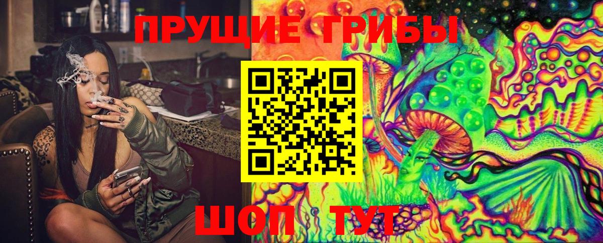 Грозный  закладки  Вход с VPN  Псилоцибиновые грибы Cubensis 
