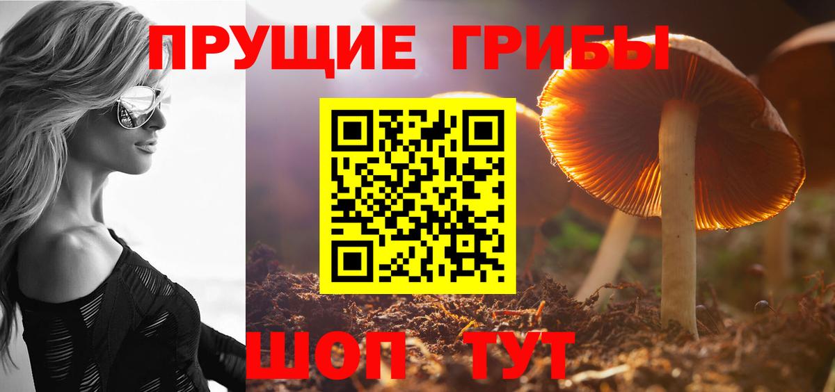Галлюциногенные грибы мицелий Грозный